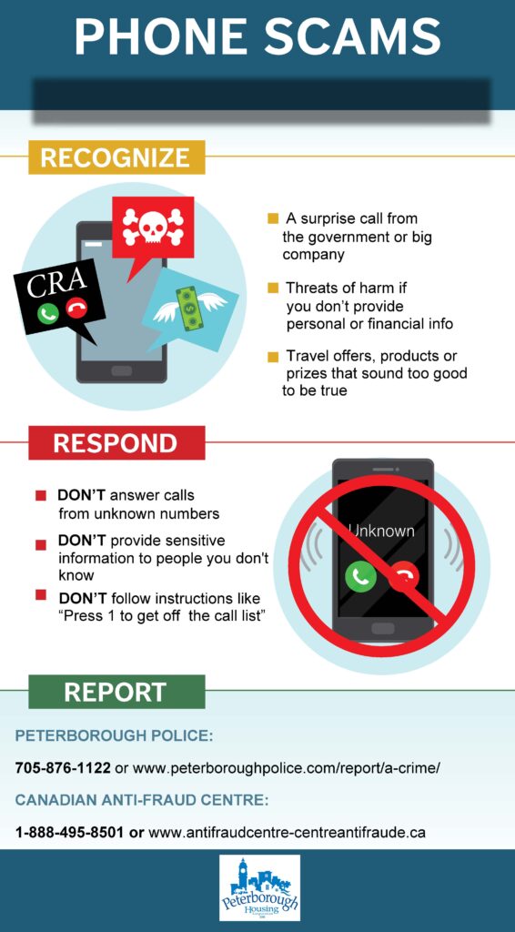 Phone Scan Infographic 